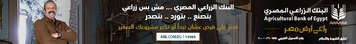 صادرات مصر السلعية ترتفع إلى 9.6 مليار دولار في الربع الأول…