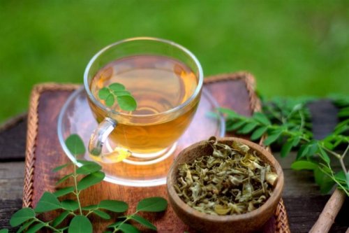 عشبة المعجزات نزلت من السماء لاستعادة الشباب مهما كان عمرك.. كوب واحد من هذا المشروب الرخيص هيرجعك 20 سنة حتى لو كنت ابن السبعين وبعكاز