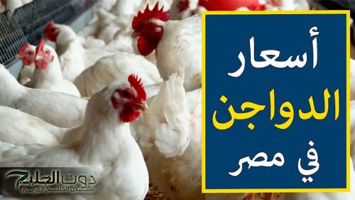 أعلنت بورصة الدواجن اليوم الفراخ البيضاء الاحد 11 نوفمبر 2024 في الأسواق المحلية والمحلات التجارية