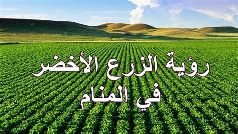 الزرع في المنام وتفسير حلم الزراعة بالتفصيل