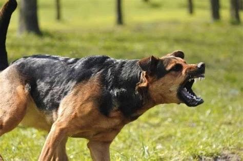 الحديد في المنام وتفسير رؤية الحديد والحداد في الحلم بالتفصيل
