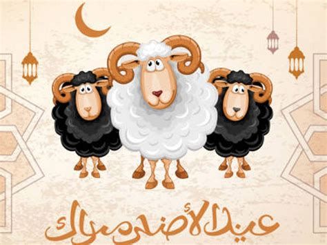 اماكن ومواعيد فعاليات عيد الاضحى بالكويت 1446-2025