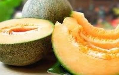 أخبار اليمن : فوائد تناول الشمام لمرضى الكوليسترول