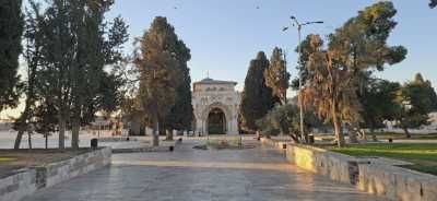 أخبار اليمن : محافظة القدس: 800 قرار إبعاد عن الأقصى
