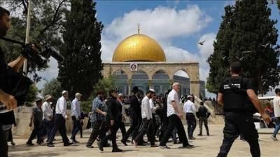 الاحتلال يغلق باب المغاربة بعد اقتحام 1731 مستعمرا الأقصى