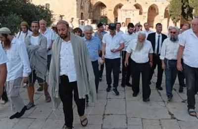 أخبار اليمن : 1317 مستوطنًا في اقتحام جديد للمسجد لأقصى