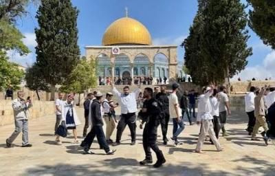 أخبار اليمن : عشرات المستوطنين يقتحمون الأقصى