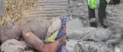 أخبار اليمن : 27 شهيداً وجريحاً في 3 محافظات