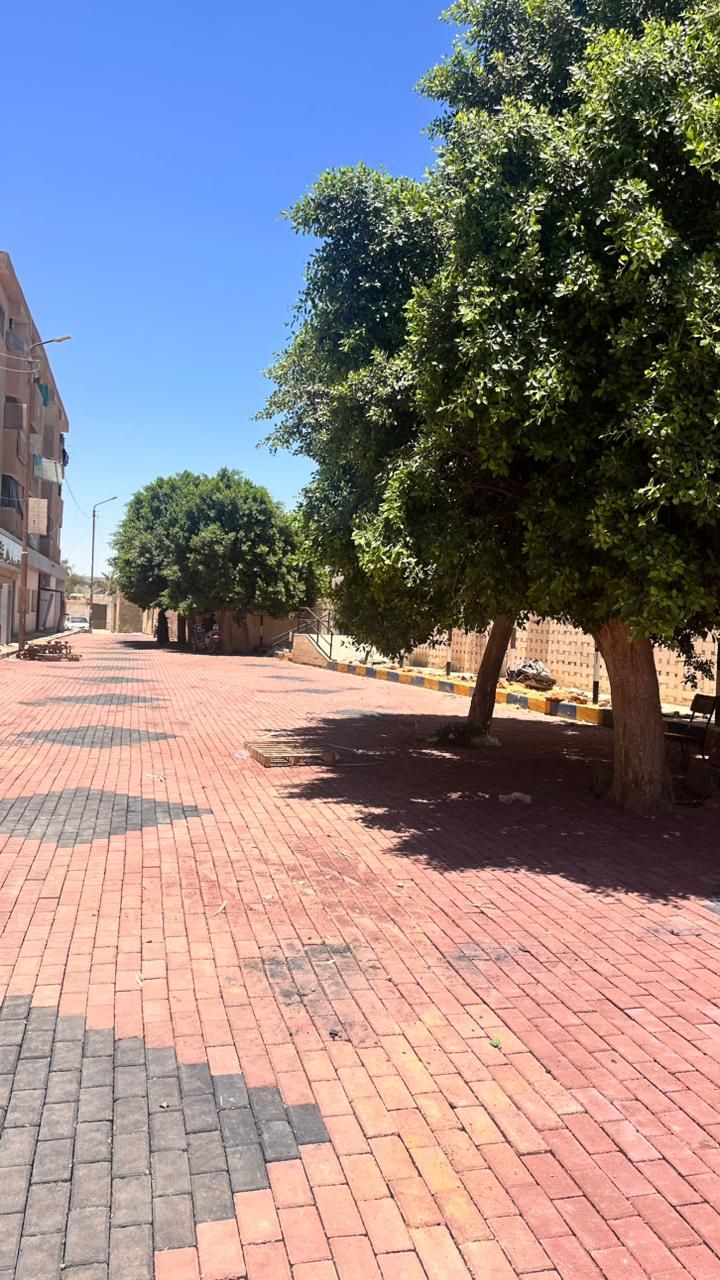 محافظ الجيزة: انتهاء تطوير شوارع منطقة البنك الزراعي والمركز التكنولوجي بالباويطي