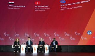 وزير الصناعة: نعمل على تعظيم القيمة المضافة للثروات التعدينية وربطها بالصناعات المتكاملة