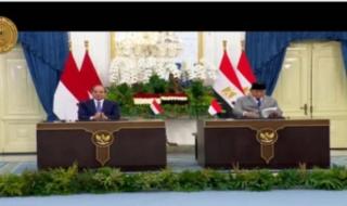 الرئيس السيسى: نستهدف رفع حجم التبادل التجارى مع إندونيسيا لـ5 مليارات دولار بحلول عام 2030